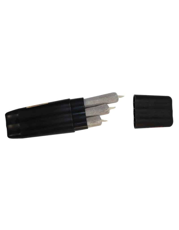 Case For 3 Cones-Display 1/2